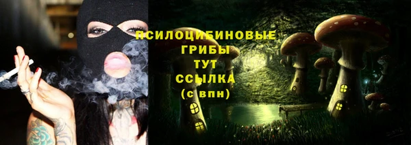 молекула духа Горняк