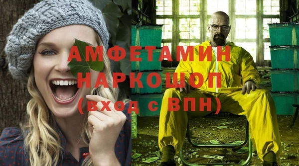 ГАЛЛЮЦИНОГЕННЫЕ ГРИБЫ Гусев