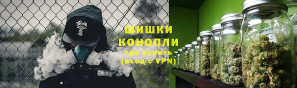 ГАЛЛЮЦИНОГЕННЫЕ ГРИБЫ Гусев