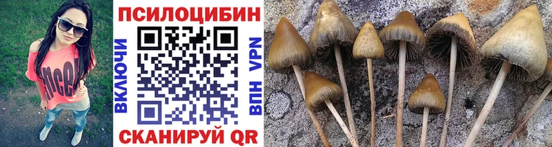 где купить наркотик  Керчь  Псилоцибиновые грибы мухоморы 